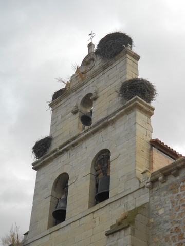 Camino francès - Pays des cigognes