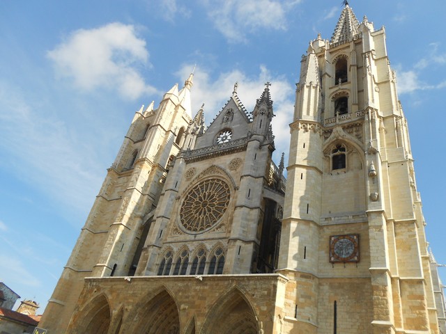 Camino francès - Leone