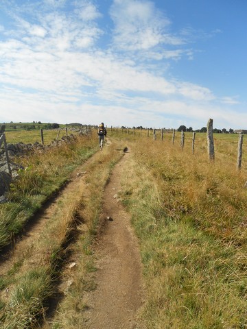 Chemin de Compostelle - Traversée de l'Aubrac