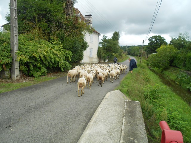 Chemin de Compostelle - en Pays basque