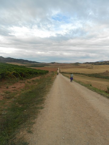Camino francès - Grand chemin large et régulier