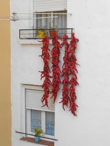 Camino francès - Viana